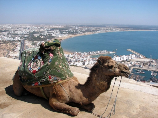 Point de vue sur Agadir